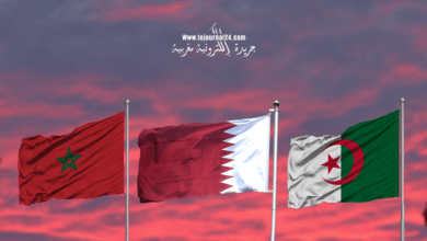 قطر المغرب الجزائر