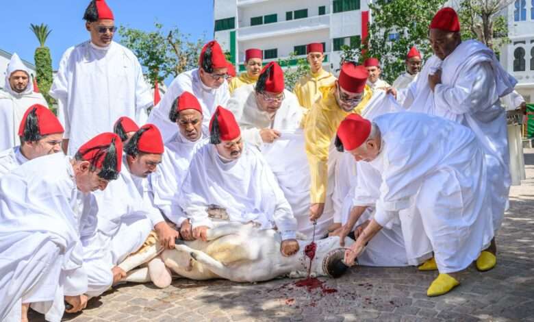 الملك محمد السادس ينحر الأضحية