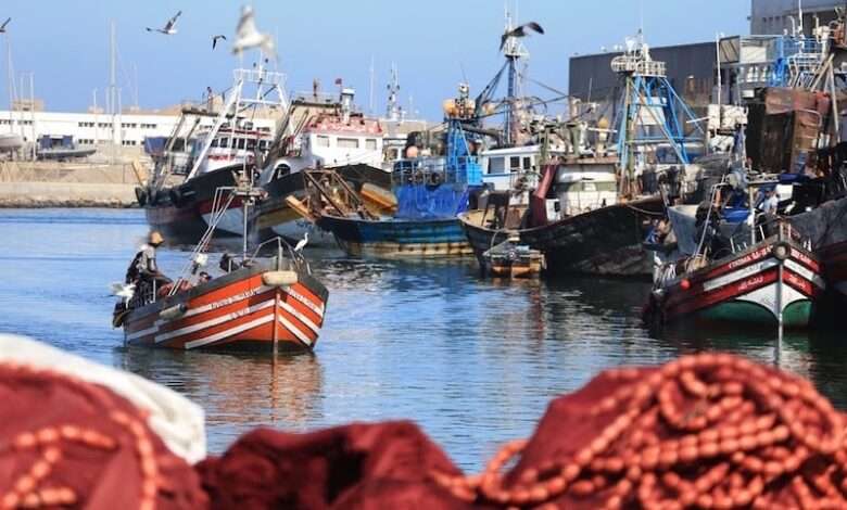 قوارب صيد السمك المغرب