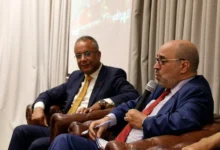 أنور مالك