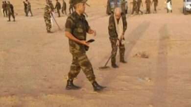 رئيس الجمهورية الوهمية يجمع الأزبال بدل المعارك