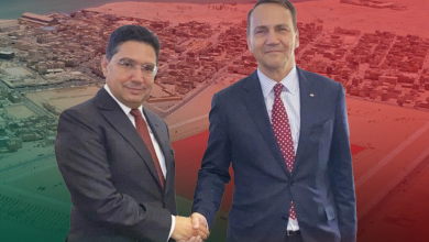 بولونيا والمغرب