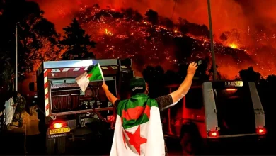 حرائق الجزائر
