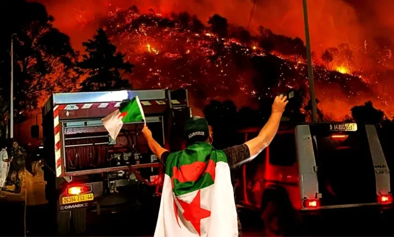 حرائق الجزائر