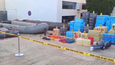 شبكة إجرامية تنشط في الاتجار والتهريب الدولي للمخدرات بالدار البيضاء وحجز حوالي 16 طن من الشيرا