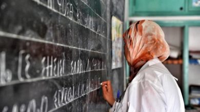 وزارة التربية تشرع في تطبيق العدة البيداغوجية لتدريس اللغة الامازيغية في مدارس الريادة