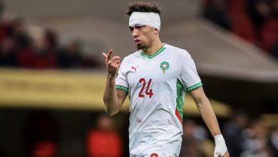 نائل العيناوي