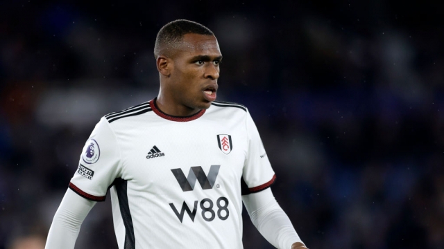 مدافع فولهام الإنجليزي عيسى ديوب