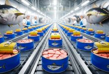 وحدة صناعية لتصبير التونة