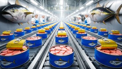 وحدة صناعية لتصبير التونة