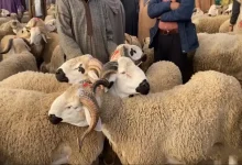 عيد الأضحى