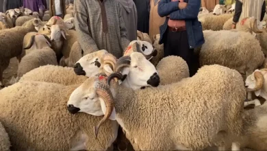 عيد الأضحى