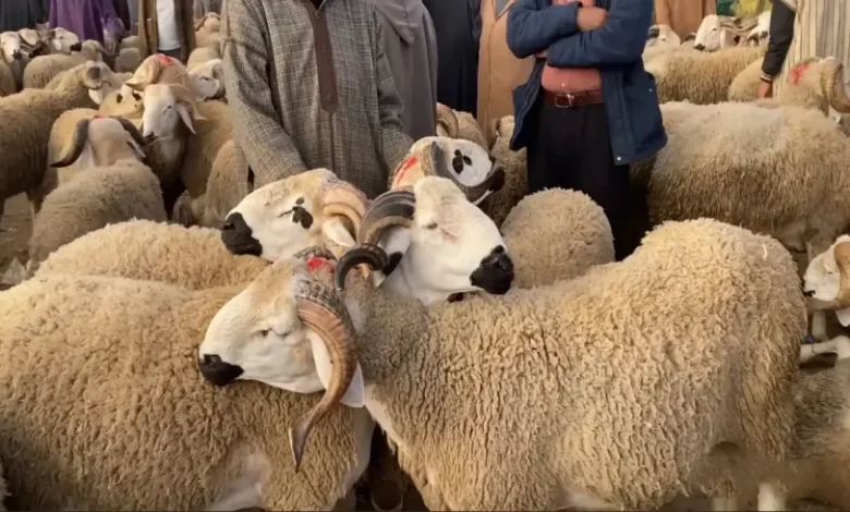 عيد الأضحى